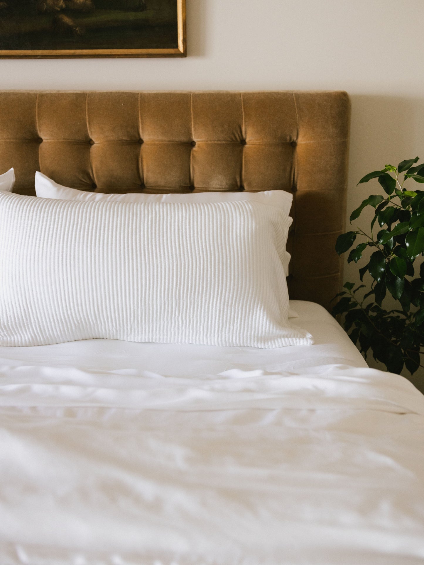 Bamboo Coverlet Shams - Wholesale