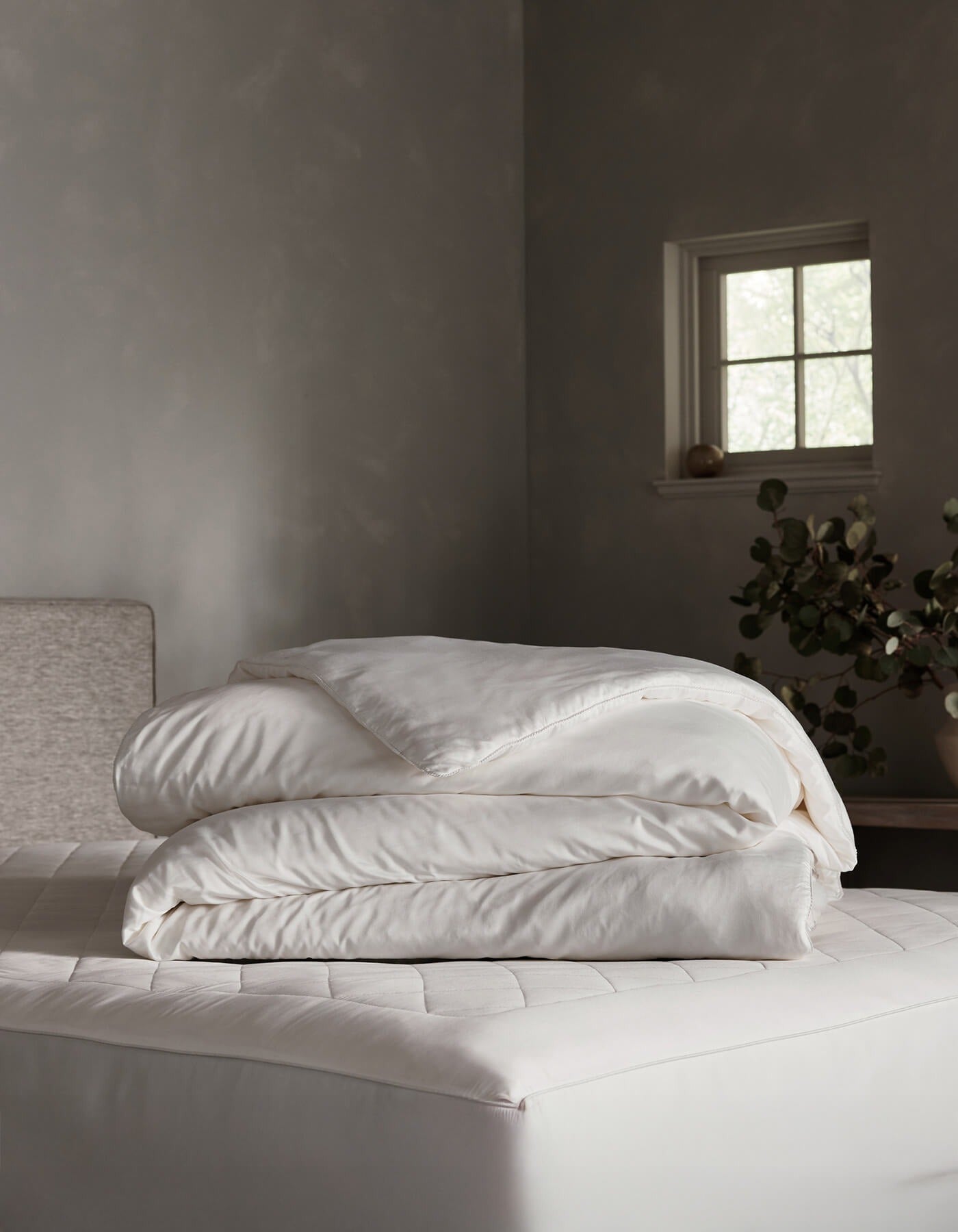 Silk Comforter