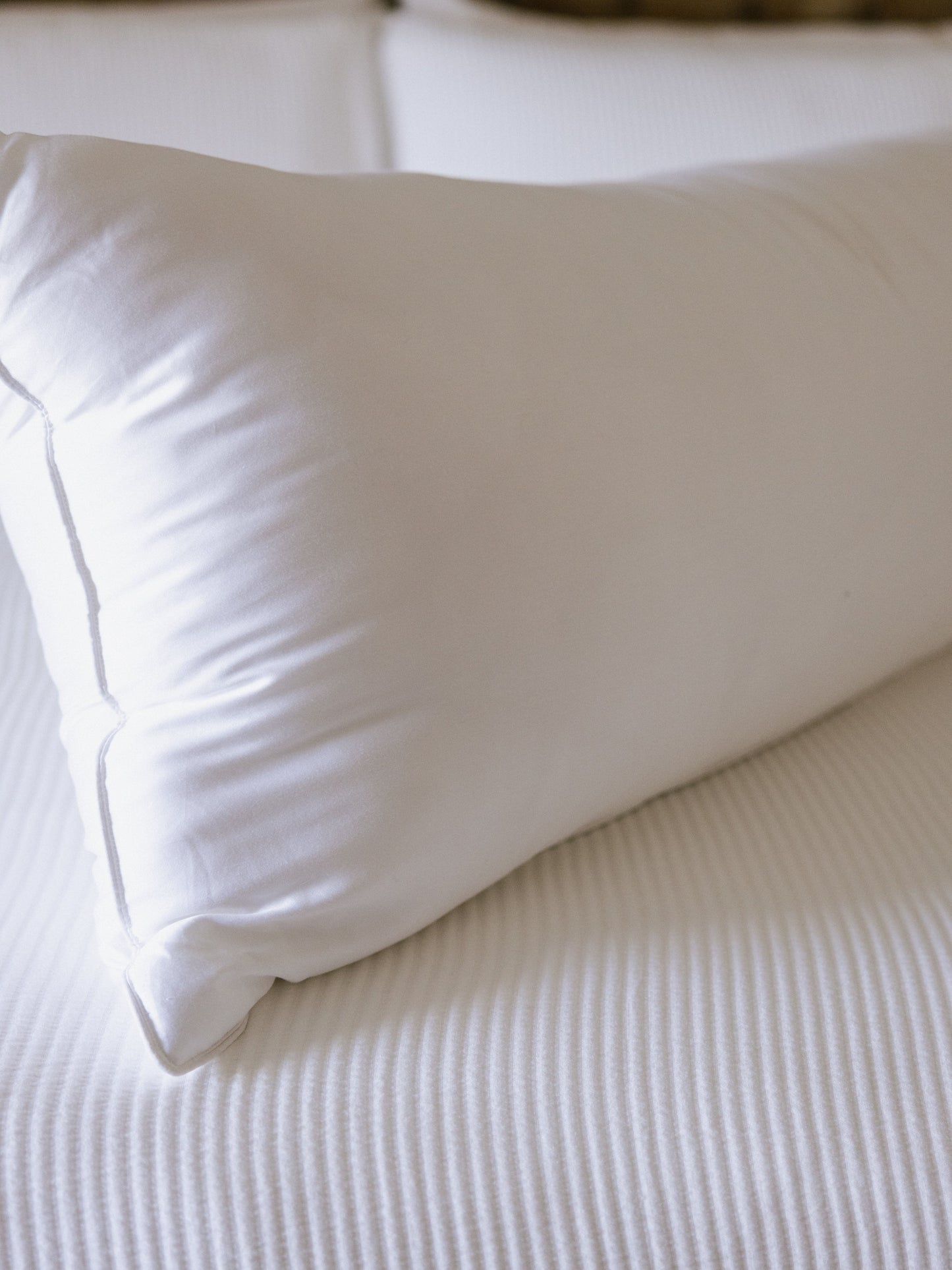 Bamboo Down Alternative Body Pillow