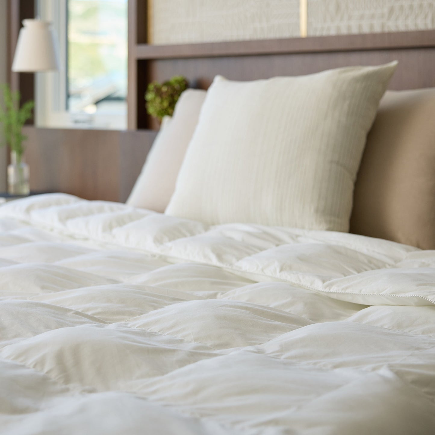 Cozy Earth Comforters - Wholesale